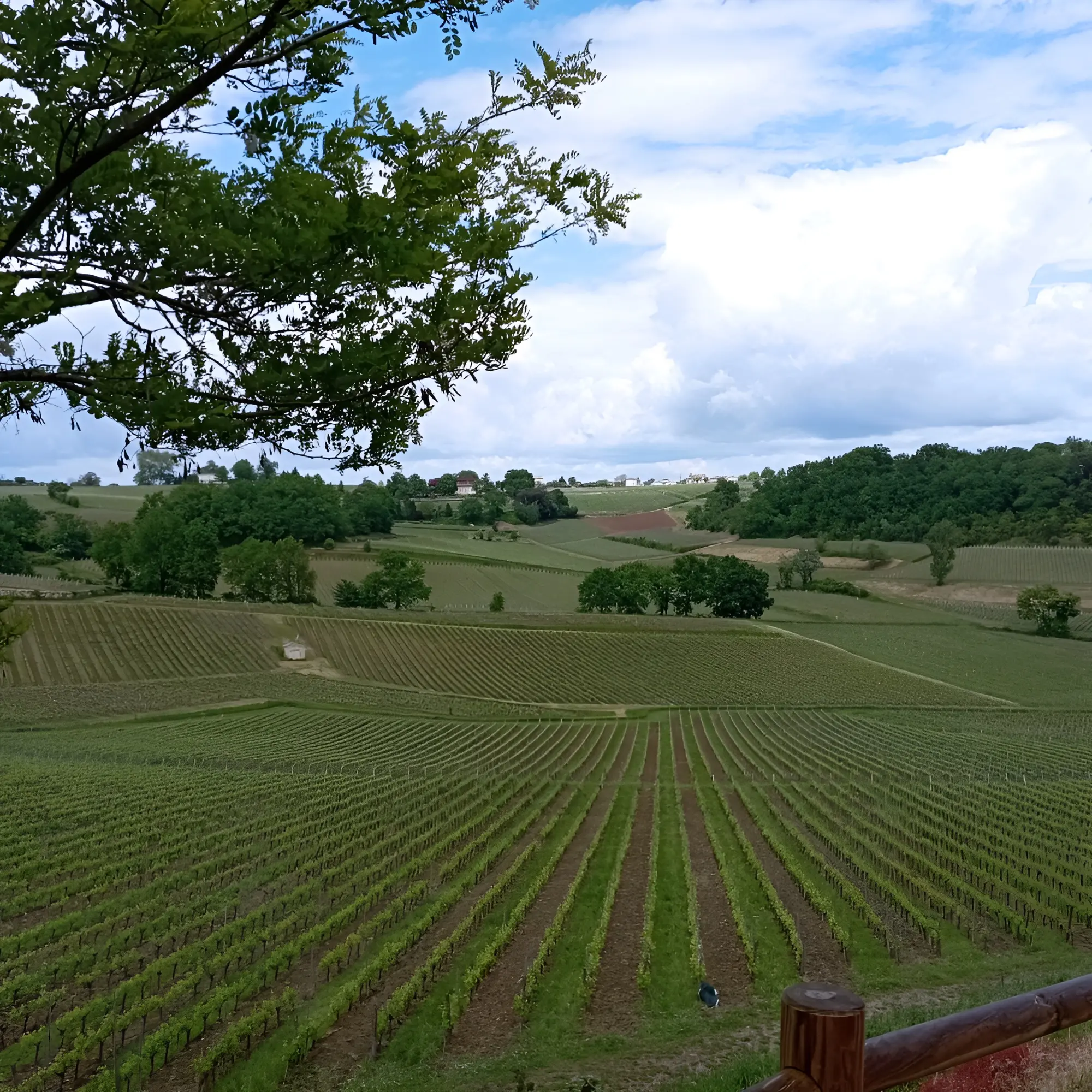 Saint-Émilion-vtc-Athena Prestige